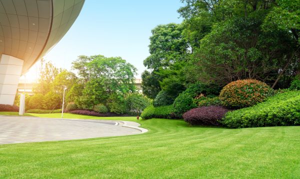 Cost of Commercial Lawn Mowing in Woodinville