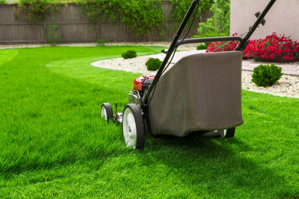 Lawn Mowing in Woodinville