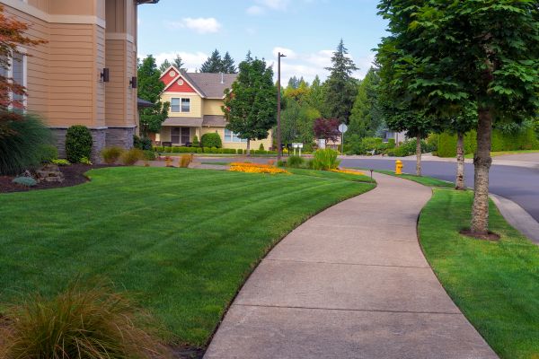 Home Lawn Maintenance in Woodinville