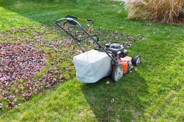 Seasonal Lawn Care in Woodinville
