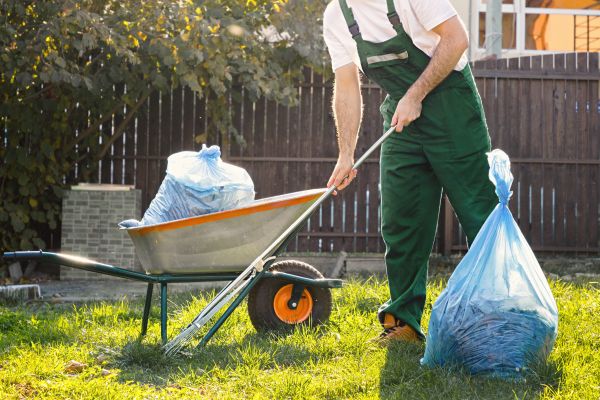Cost of Yard Cleaning in Woodinville
