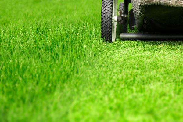 Weekly Lawn Care in Woodinville