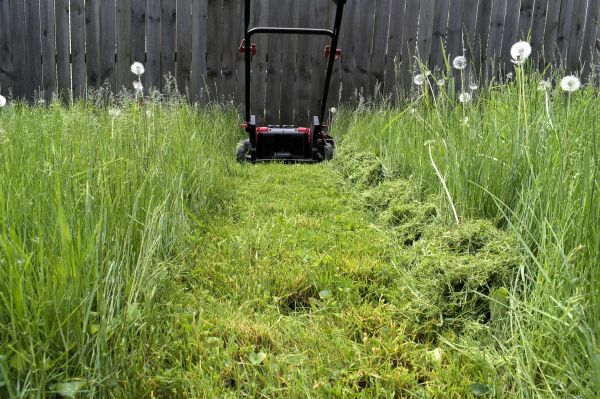 Cost of High Grass Mowing in Woodinville