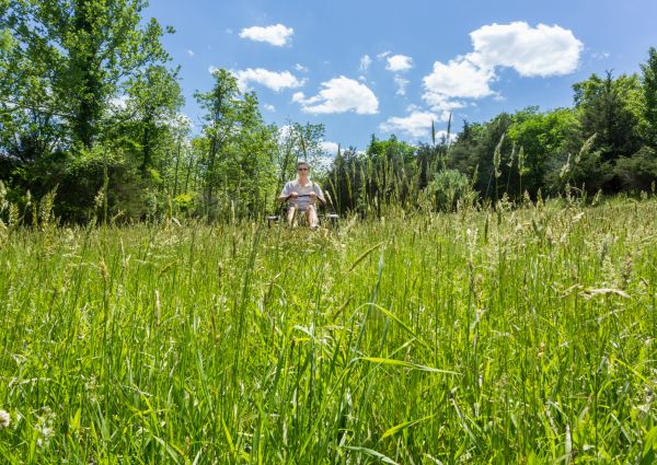 Cost of Long Grass Mowing in Woodinville