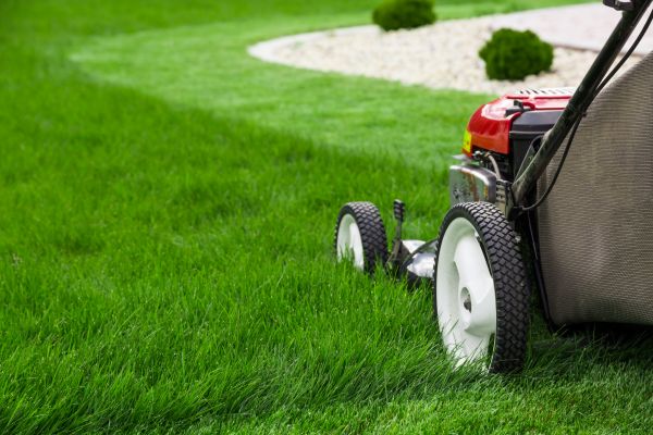 Lawn Trimming in Woodinville