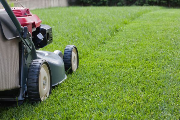 Summer Lawn Care in Woodinville