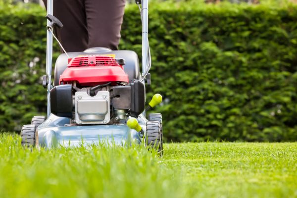Cost of Grass Trimming Service in Woodinville