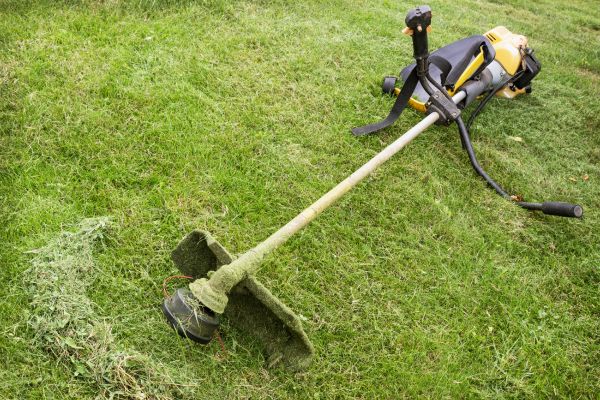 Cost of Hillside Weed Whacking in Woodinville