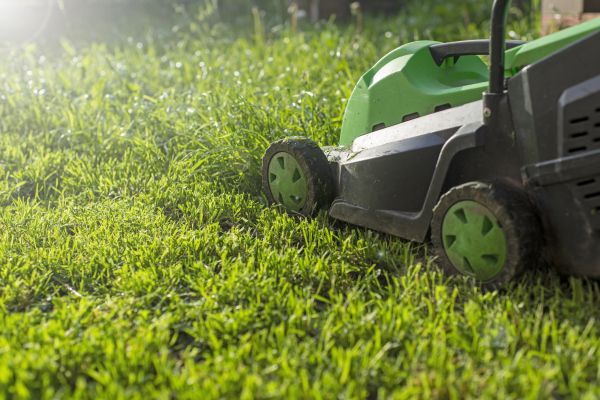 Lot Mowing in Woodinville