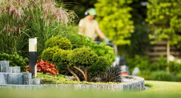 Cost of Residential Yard Maintenance in Woodinville
