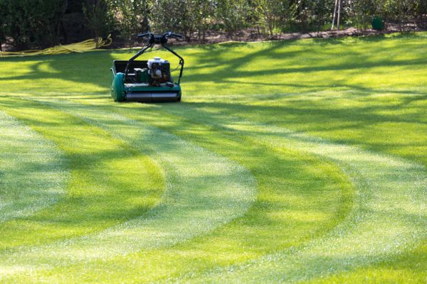 Cost of Business Lawn Mowing in Woodinville