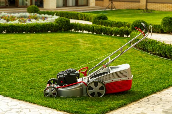 Cost of Business Grass Cutting in Woodinville