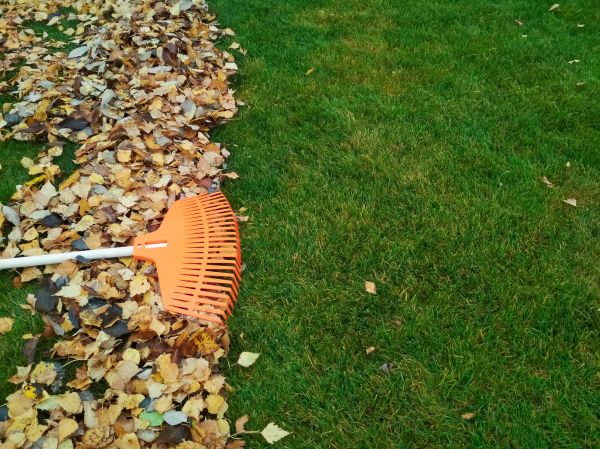 Fall Lawn Care in Woodinville