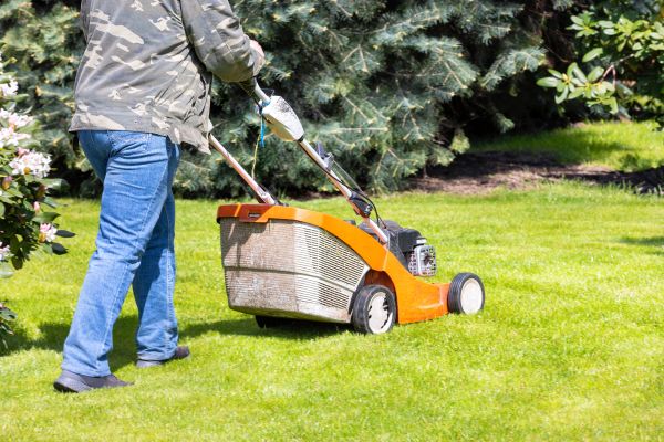 Cost of Springtime Lawn Care in Woodinville
