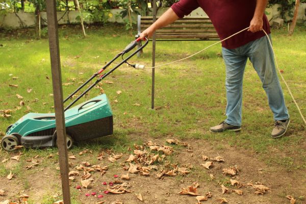 Cost of Leaves Mowing in Woodinville