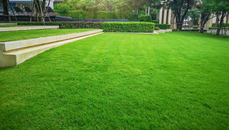 Corporate Lawn Maintenance