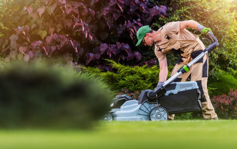 Seasonal Lawn Services