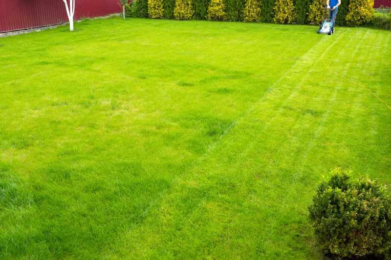 Healthy Lawn